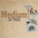 Amazing Cat Trees Medium image
